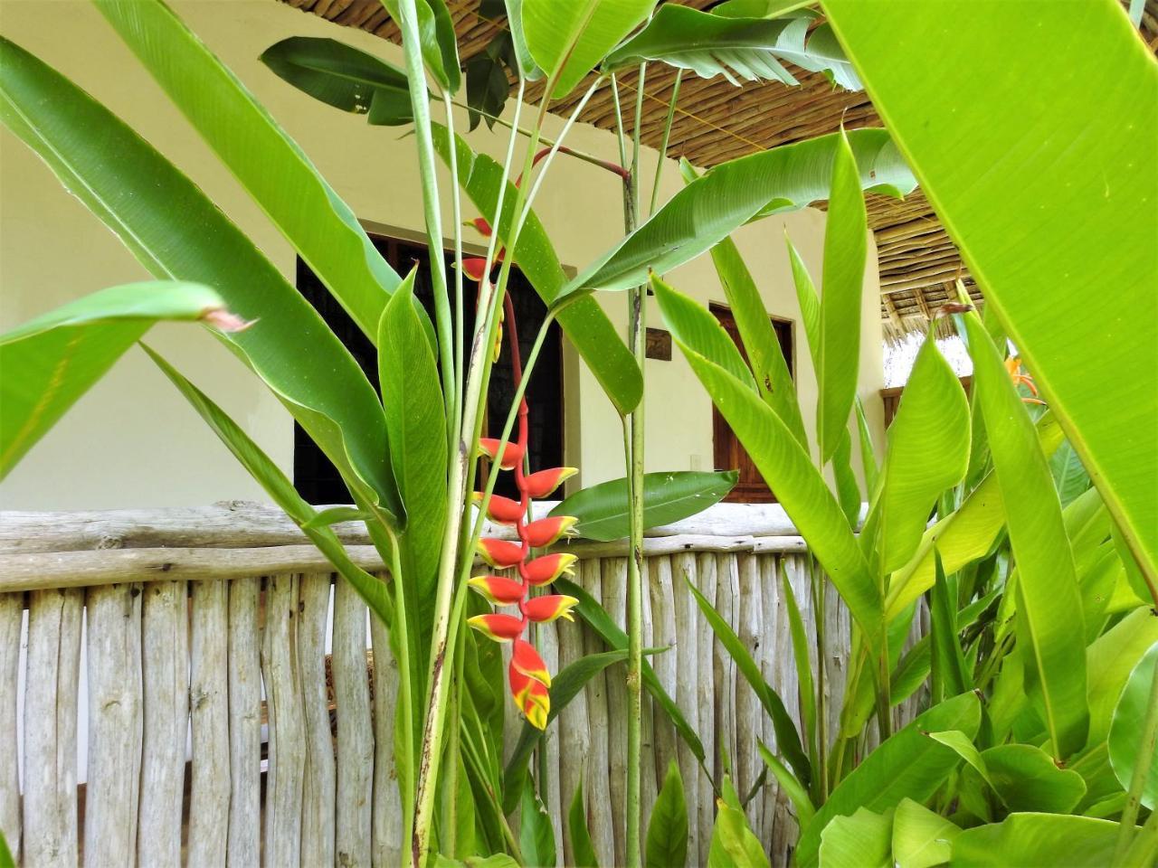 Sheba Cottages - Diani Beach Zewnętrze zdjęcie